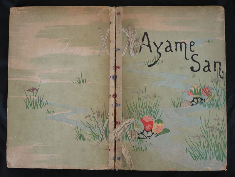 1892Ayame-san01