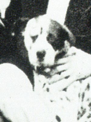 1912Slade Picnic_A7_dog