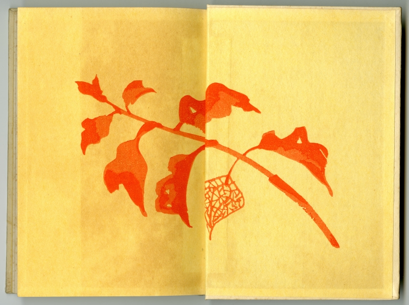 1934年の山口青邨『雜草園』見返し