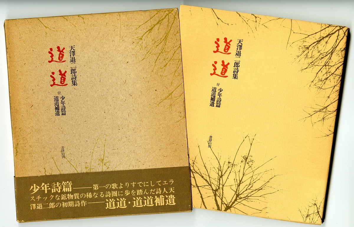 1978年書肆山田版『道道　付＊少年詩篇・道道補遺』外箱と表紙