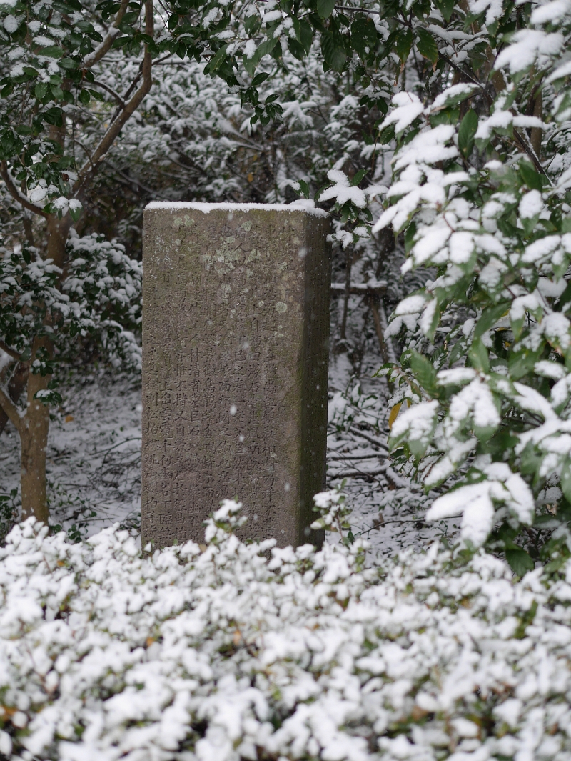 多賀山の林岳記碑雪化粧