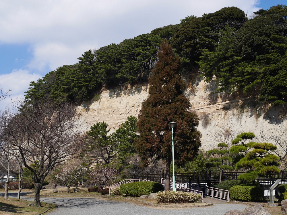 三渓園の南側