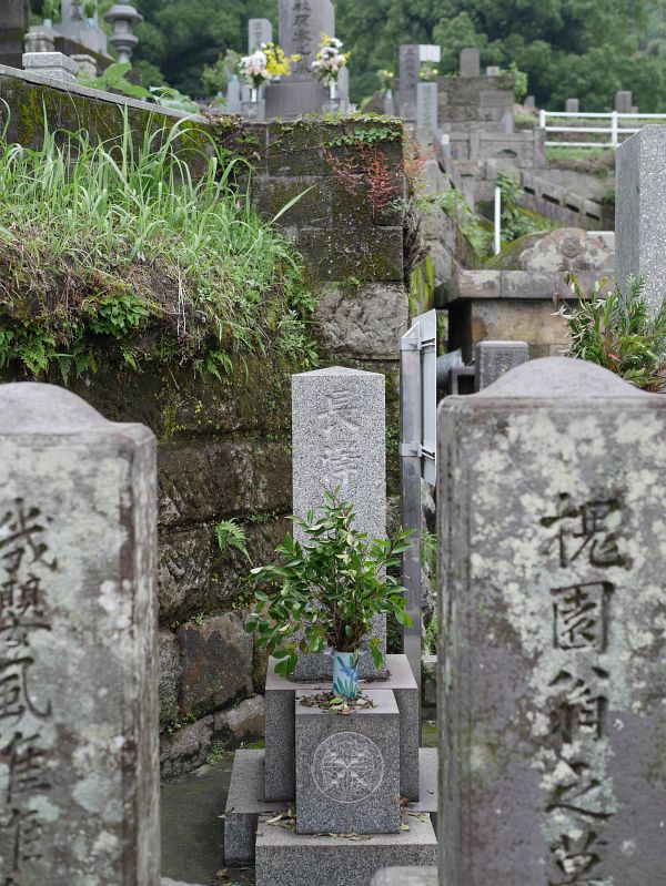 長澤鼎の墓