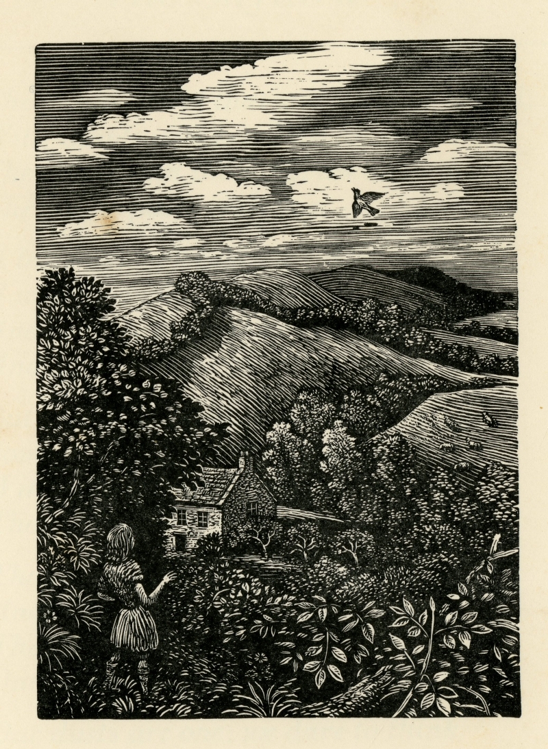 「The Skylark（ひばり）」に添えられたReynolds Stoneの木版画