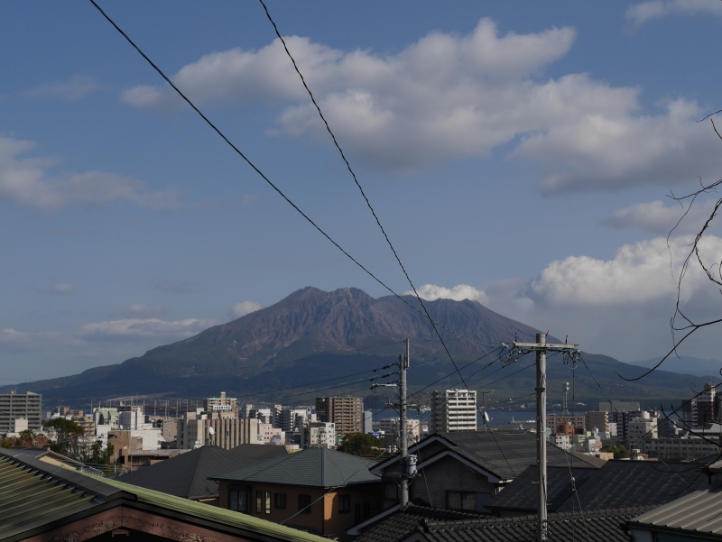 かつて井上家の屋敷があった辺りから桜島を望む