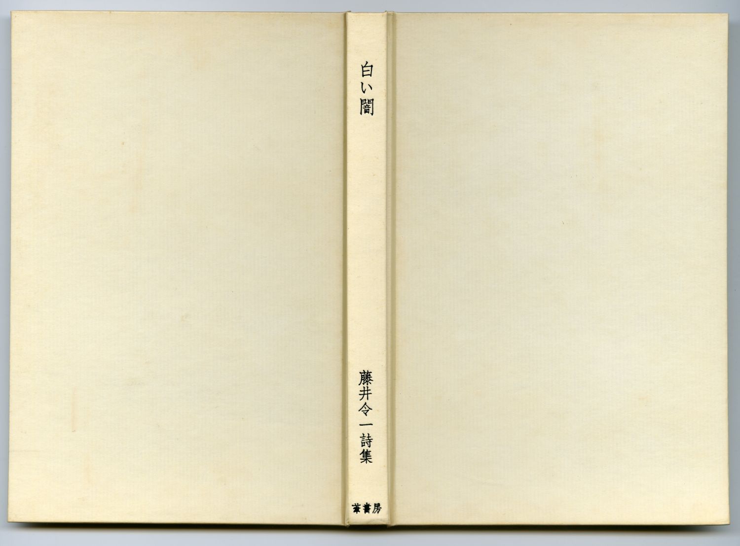 藤井令一『白い闇』（1978年、葦書房） 表紙