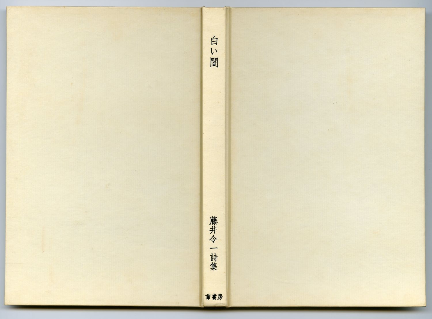 藤井令一『白い闇』（1978年、葦書房） 表紙