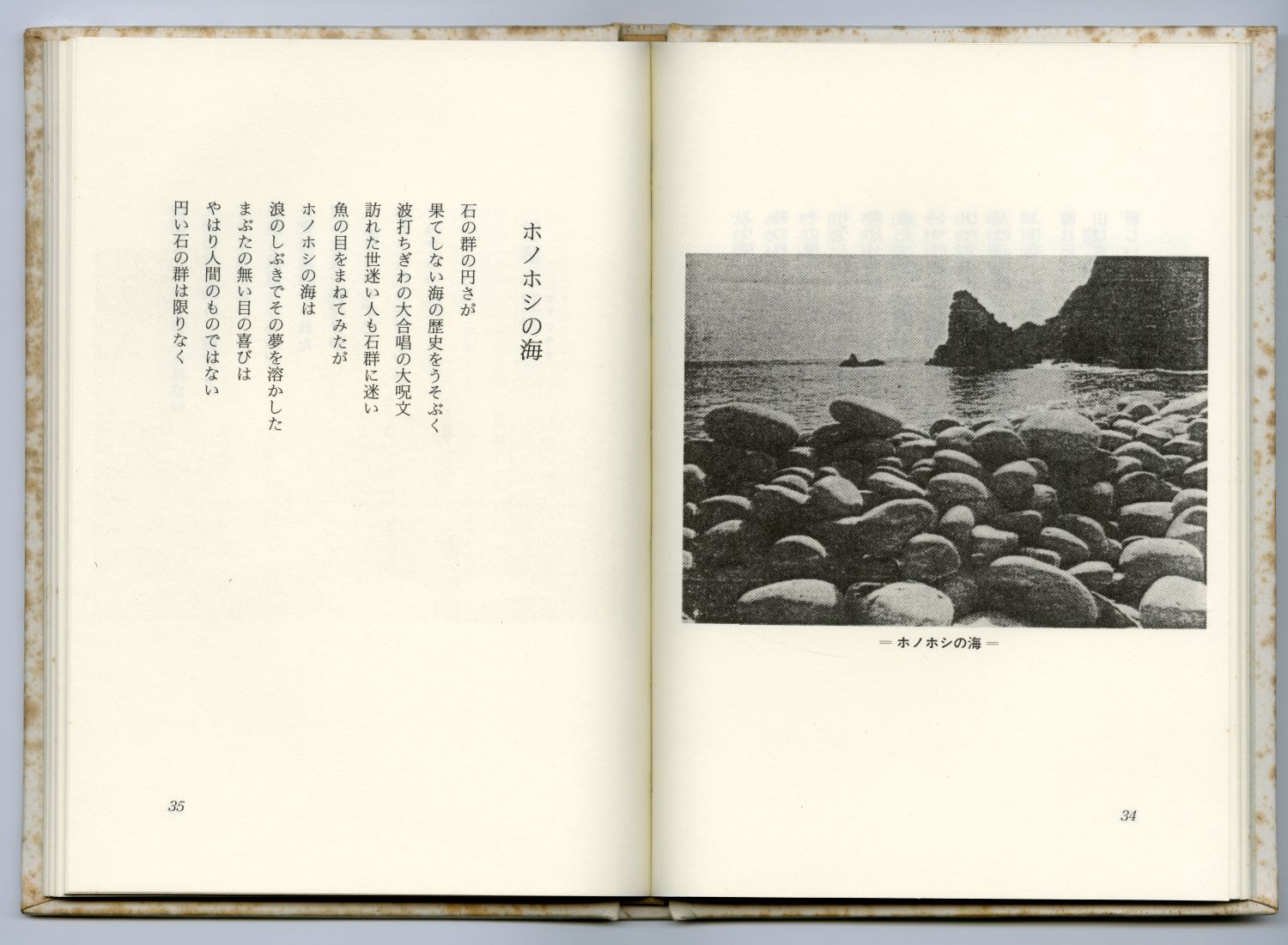 藤井令一『巫島狂奏曲』（1991年、檸檬社）のページから