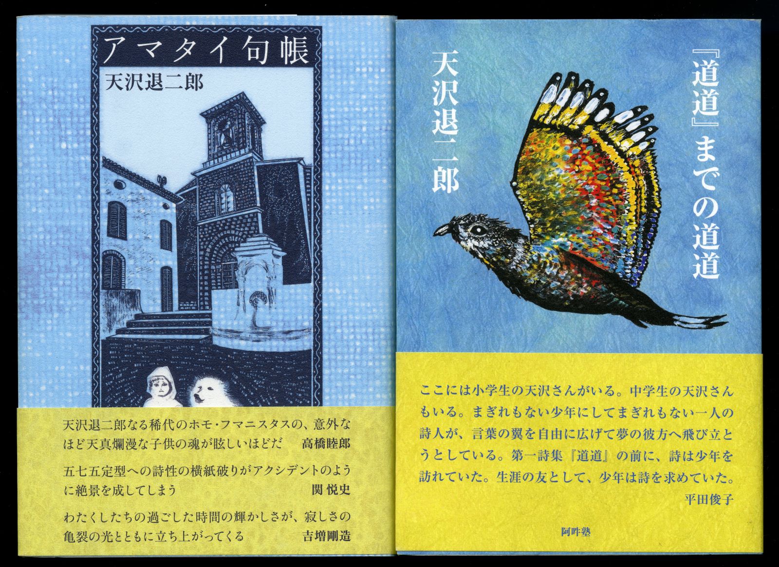 japanese 小学生 pussy 