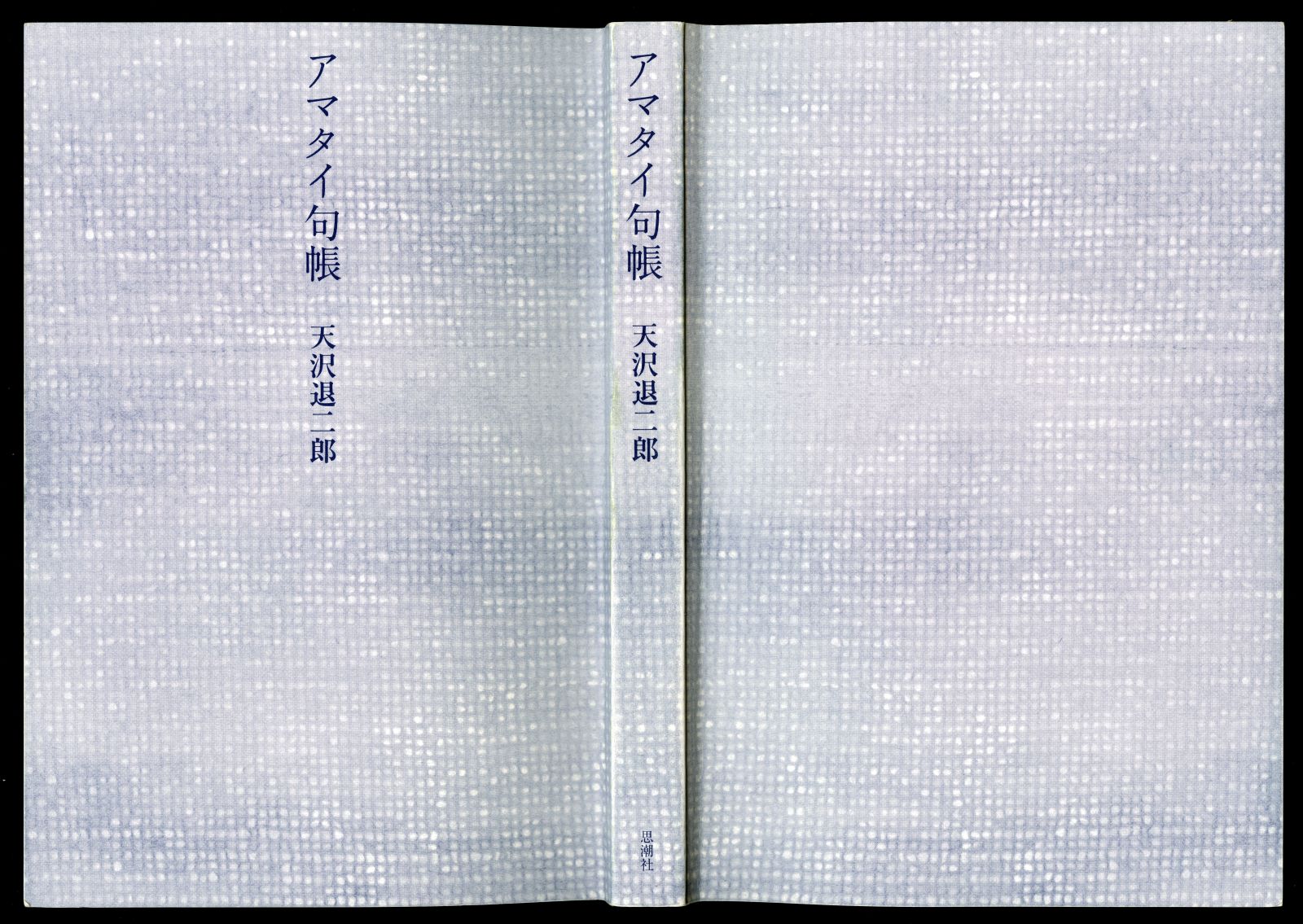 『アマタイ句帖』（2022年、思潮社）02