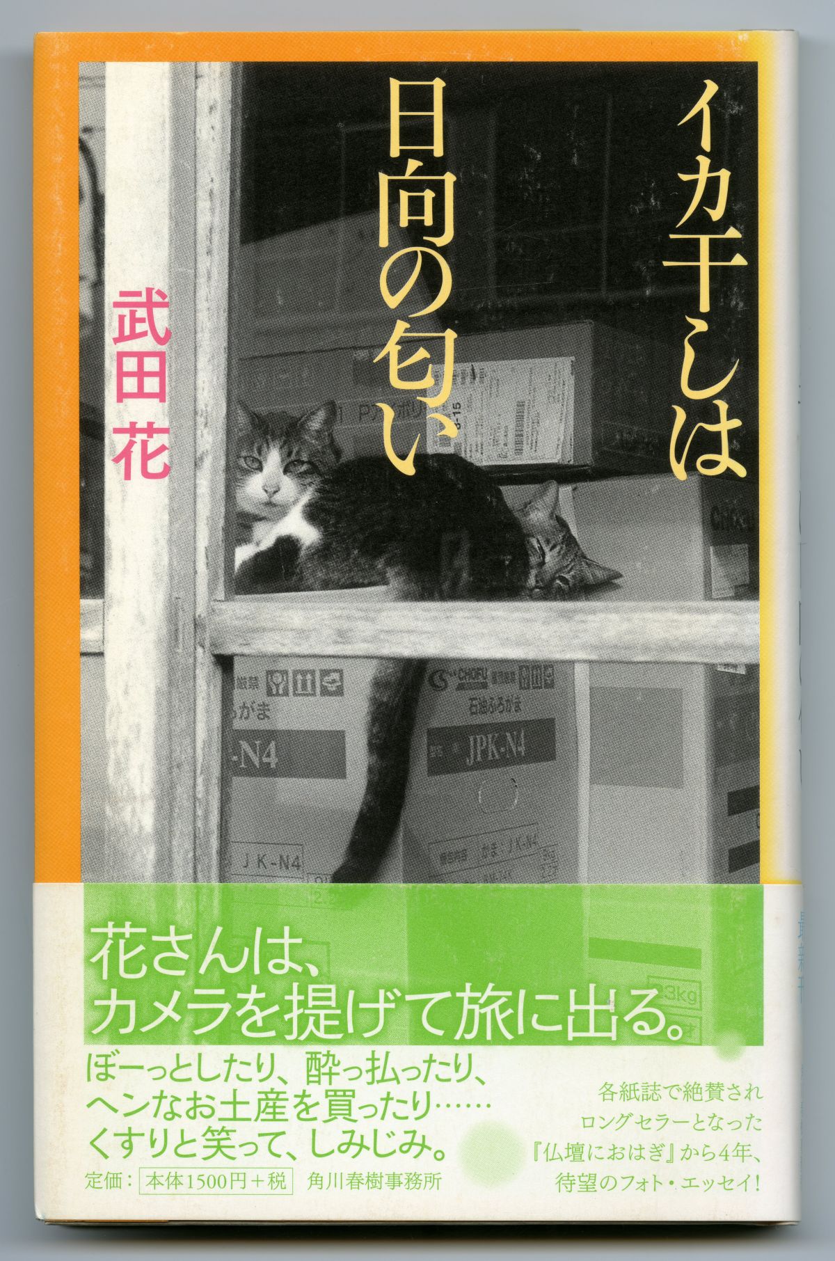 武田花『イカ干しは日向の匂い』