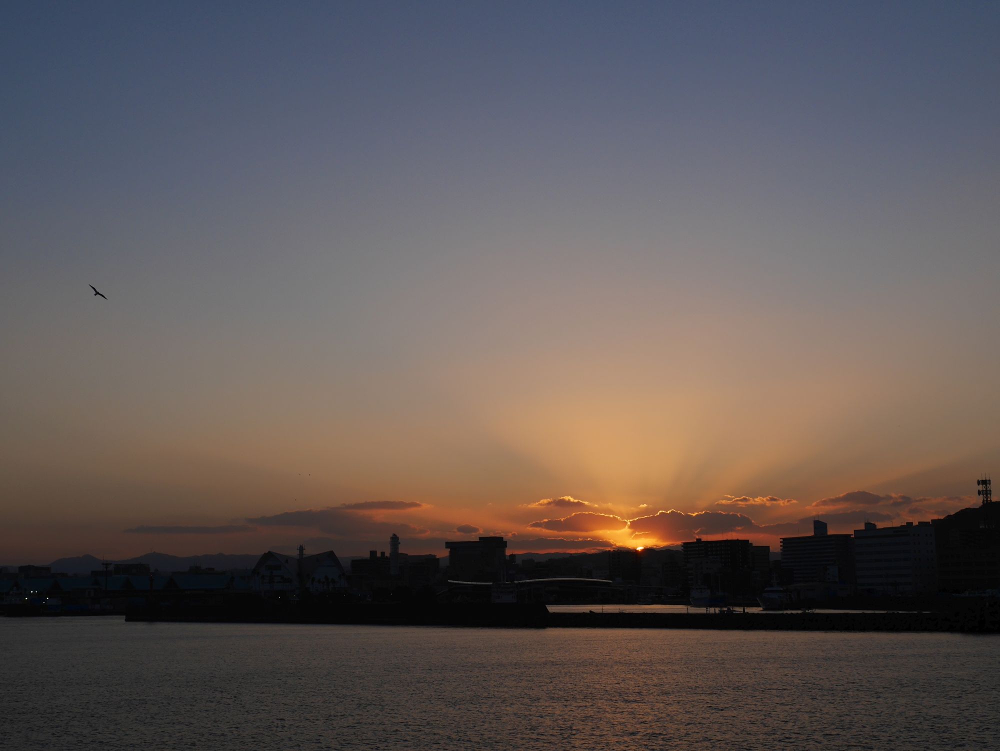 2024年12月31日の夕陽を見送る桜島01