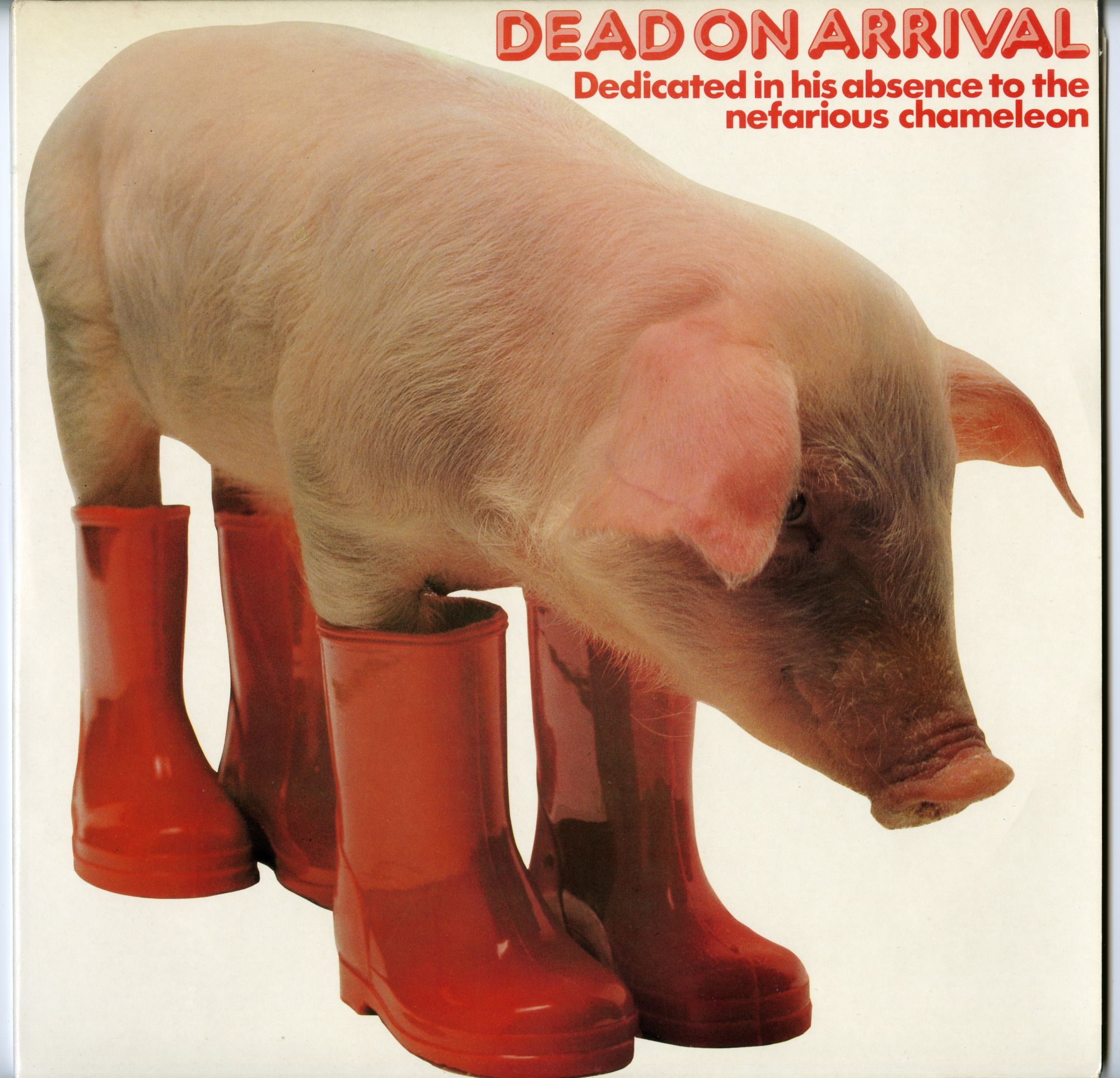 1978Virgin_DeadOnArrival表ジャケ
