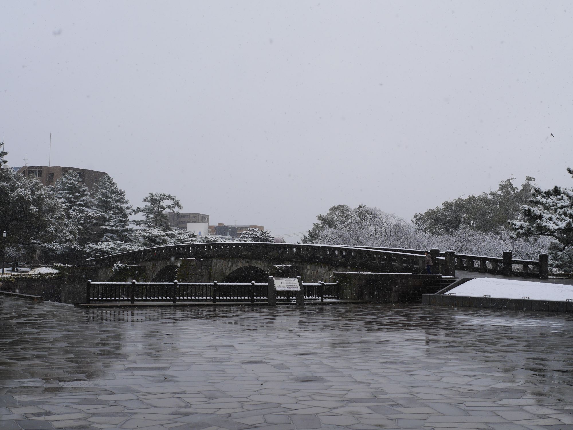 2026年2月8日高麗橋雪景色